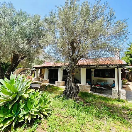Olea
