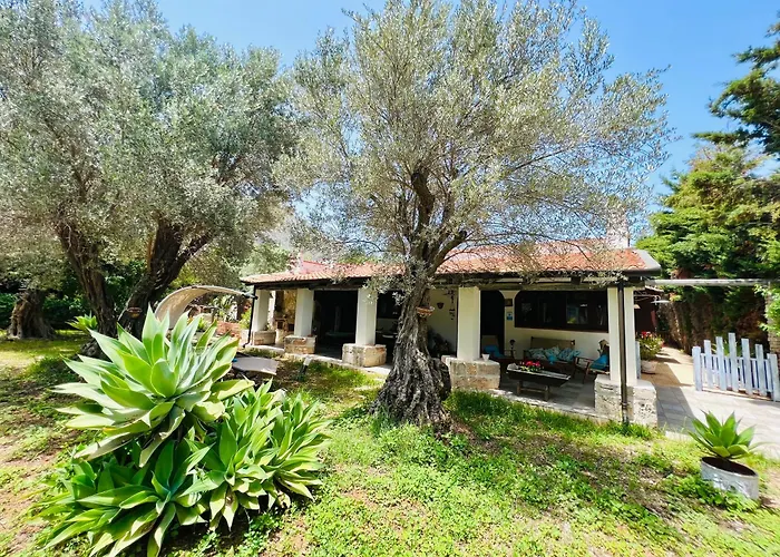 Olea