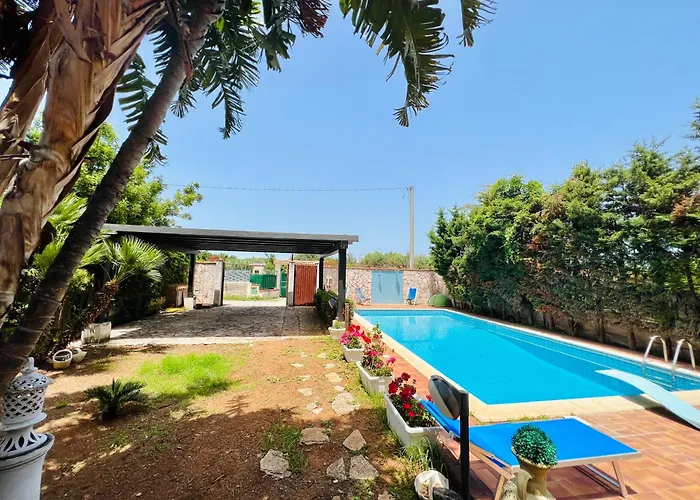Olea كاريني