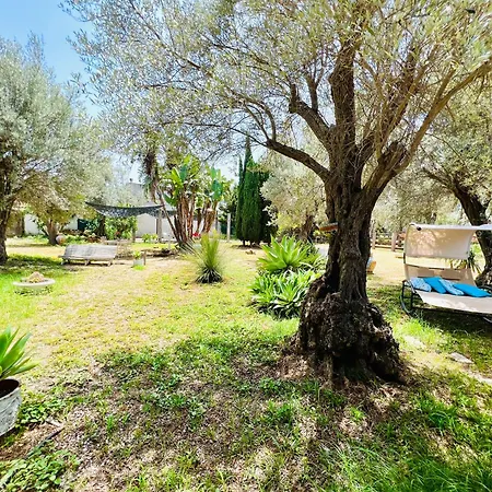 Olea Villa