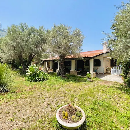 Villa Olea Carini